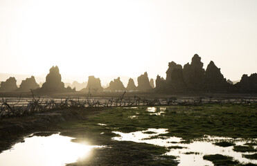 Landscape Lac Abbe sunset in Djibouti, East Africa