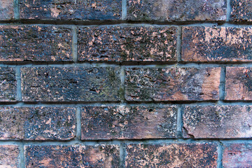 Color painted brick wall. Texture of old dark brown, orange and yellow brick wall panoramic backgorund