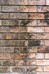 Color painted brick wall. Texture of old dark brown, orange and yellow brick wall panoramic backgorund