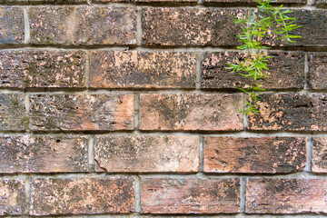 Color painted brick wall. Texture of old dark brown, orange and yellow brick wall panoramic backgorund