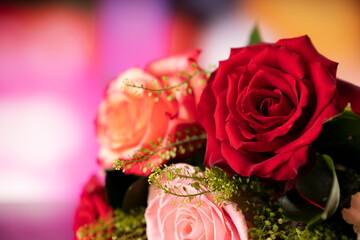 Bunch of roses on the bokeh background. Women’s day gift. 