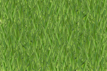 Fototapeta na wymiar background of dense young green grass