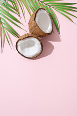 Tropical green palm leaf and cracked coconut on pink background. Organic food, cosmetics. Trendy summertime banner, spa concept. flat lay, top view, copy space