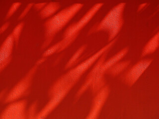 shadow of leaves on red wall background