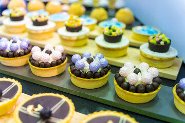 Catering sweets, closeup of various kinds of different types of Sweet Cakes in Bakery Shop