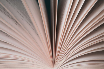 Symmetrical shot of an open book. pages fanned out in both directions. Crisp white pages.