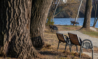 A couple of benches in a new park promenade from the north part of Bucharest in the last days of...