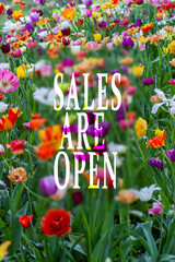 Sales Are open spring background with flowers