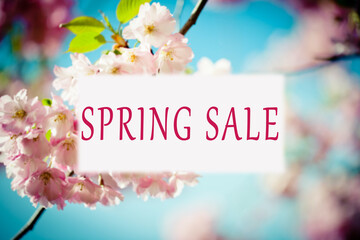 Spring Sale spring background with flowers