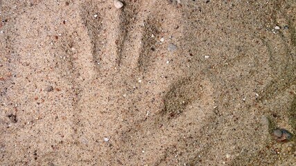 reflection of a hand in the sand with visible stones G