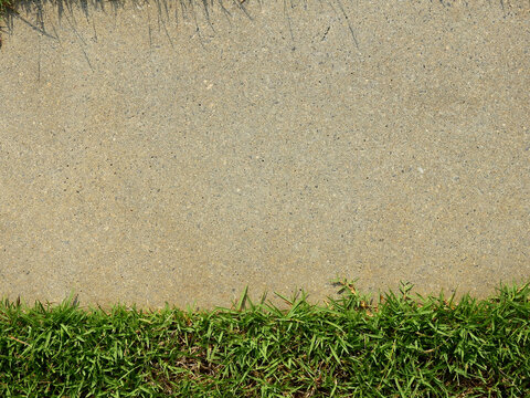 pathway on the lawn with green grass texture