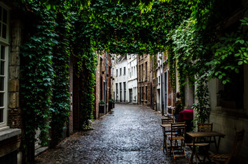 Fototapeta na wymiar Antwerp, Belgium - July 12, 2019: Cozy old street with no people after rain in the city of Antwerp in Belgium
