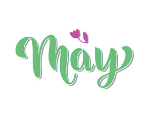 May word. May concept text with leaves, tulip, flowers. Vector illustration of May hand lettering text for poster, card, banner, template design. Spring month.