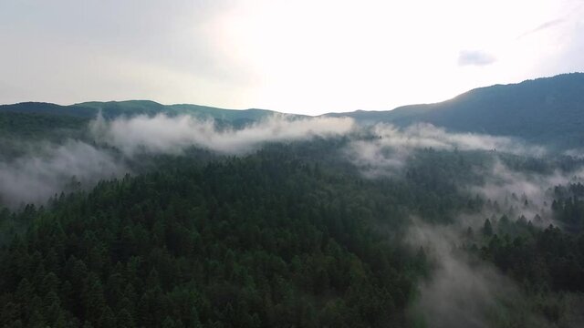 Aerial forward shot of steam clouds above mountain fir forest with the sun in the background