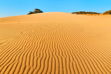 Idyllic landscape with golden sand dunes of Patara illuminated by the rays of the setting sun and the blue sky on the horizon. Travel destinations in Turkey