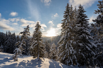 Sonnenuntergang im Allgäu