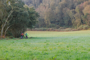 Fototapeta na wymiar Two cyclists training on the mountain between green fields