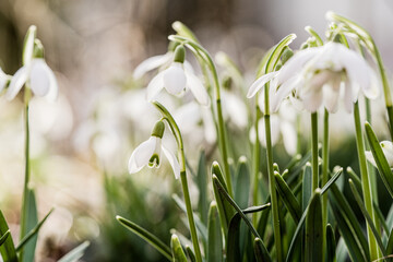 Foto: Birke Oud/www.birkeoud.com