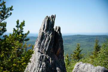 the top of the cliff against the background of green trees on a sunny day