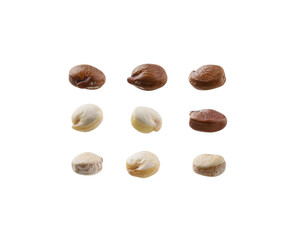 A set of red and white quinoa. Isolated on a white background