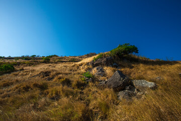 The natural background of the morning light rising in the middle of the sea and surrounded by mountains, cool breezes, the beauty of the ecology of the tourist attractions.