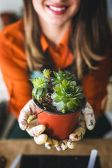 Woman taking care of plants at her home. Smiling young woman holding a succulent plant.