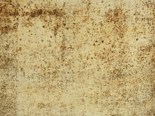old canvas with mold texture