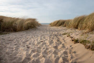 Sandy path on a sunny winter day between the dunes on the wadden island of Texel, the Netherlands