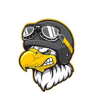 Pilot eagle bird vector mascot with cartoon head of bald eagle, falcon or hawk wearing aviator helmet and goggles. Sport team or flying club mascot for t-shirt print design