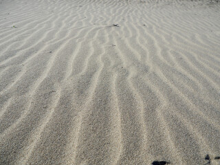 Sand texture. Sandy beach as a background. Top view