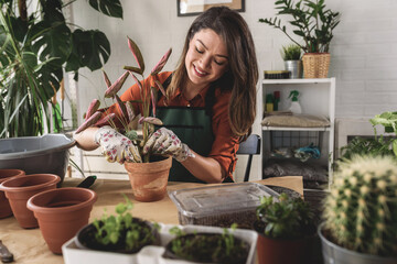 Young woman potting a plant at home. Engaging leisure activities. Indoor gardening. 