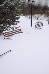 benches on a city street after heavy snowfall