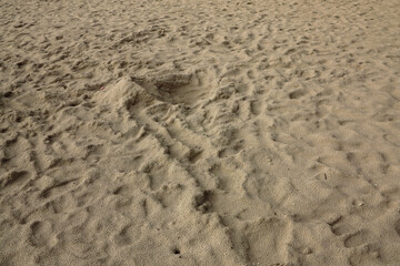 wet sand on the beach texture