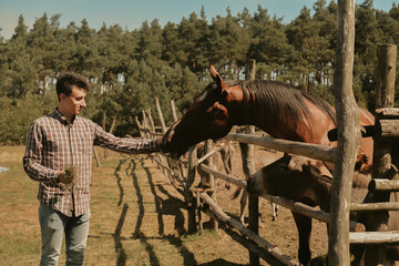 A man keeps a farm, feeds a horse and a donkey with grass. Man on the farm, love for animals.