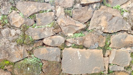 old stone wall with moss