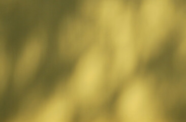 abstract shadow of leaves on yellow wall background
