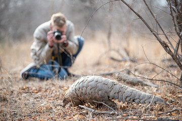 Pangolin and guest