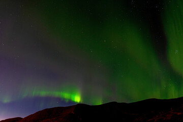 Fototapeta na wymiar Northern lights, aurora, at the latitude of the far north