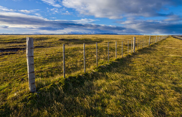 Fototapeta premium Pampas with fence in Patagonia