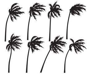 Tropical Palm Trees Silhouette in Wind Storm - 417366826