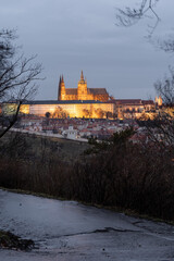 view of the illuminated St. Vitus Cathedral and Prague Castle through the silhouettes of a tree in the park in the evening