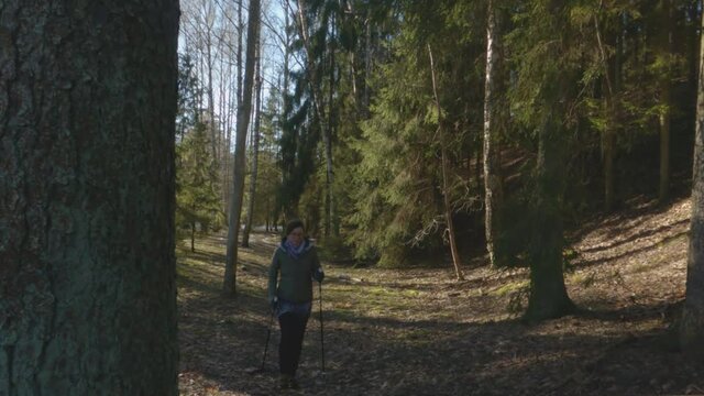 Happy woman practices Nordic walking in early spring forest. Healthy lifestyle, prevention of cardiovascular diseases, during pandemic isolation.

