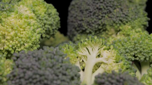 broccoli vegetable rotate 4k