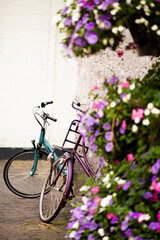 Fototapeta na wymiar Bicycle leaning against wall and flowers in foreground, Netherlands