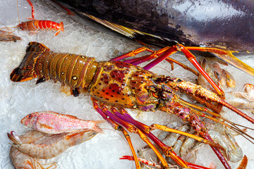 Seafood on ice at the fish market