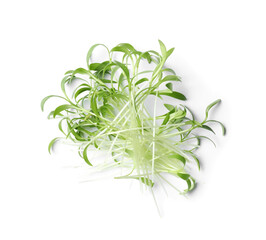 Pile of fresh microgreen isolated on white, top view