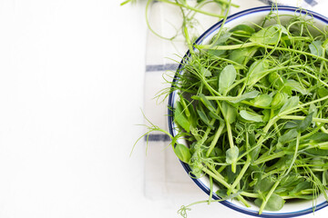 Fresh microgreen on white table, flat lay. Space for text