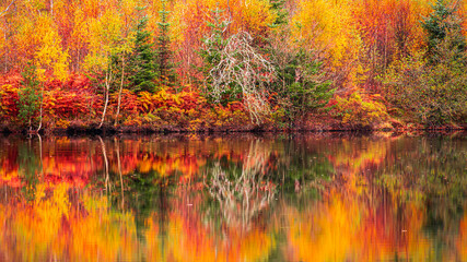 Autumn reflections in the Lake District.Colourful trees reflecting on the calm water surface.Bright and vibrant landscape scene.Nature background.Autumn walk.