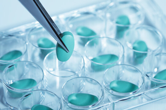 Tweezers holding pill over multi-well dish