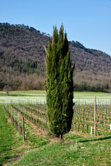 monte orfano